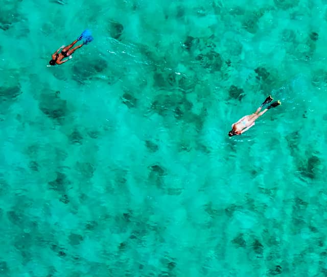 Snorkel/Fish Combo